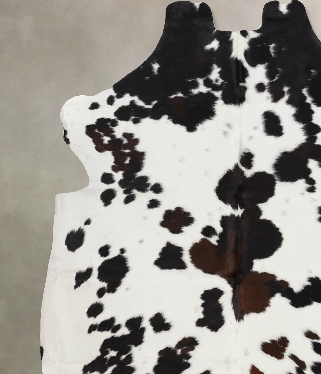 Tricolor X-Large European Cowhide Rug 6'8"H x 6'2"W #B12349 by Hudson 