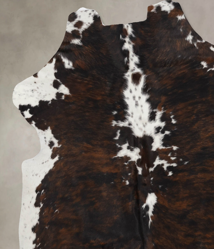 Tricolor X-Large European Cowhide Rug 6'10"H x 6'4"W #B12362 by Hudson Hides