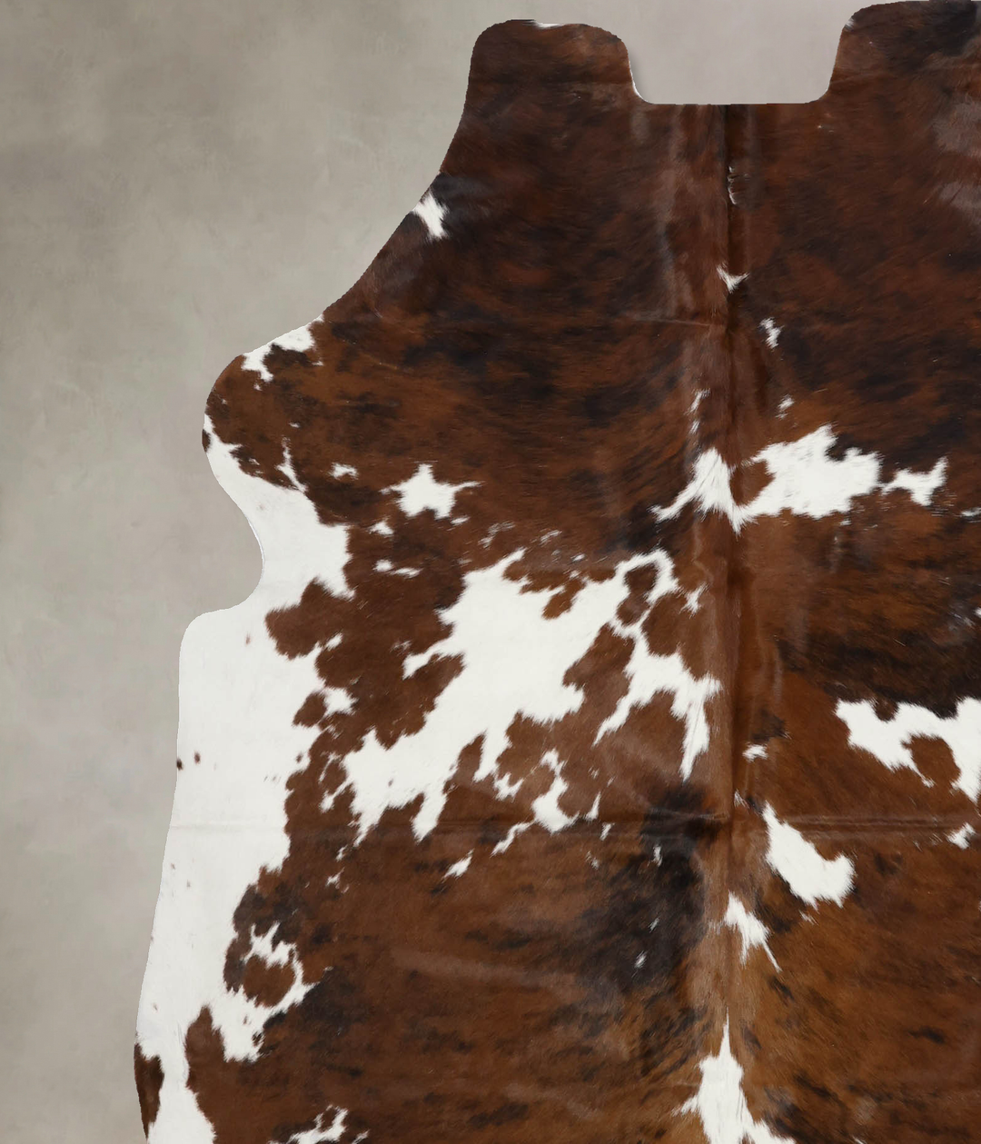 Tricolor X-Large European Cowhide Rug 6'11"H x 6'3"W #B12363 by Hudson