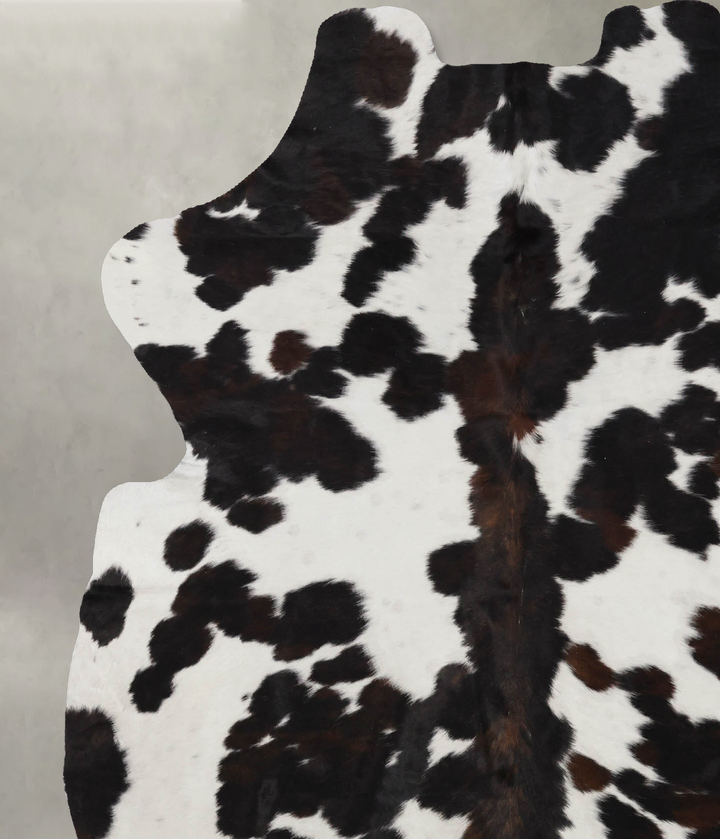 Tricolor Large European Cowhide Rug 7'0"H x 5'8"W #B12364 by Hudson Hides