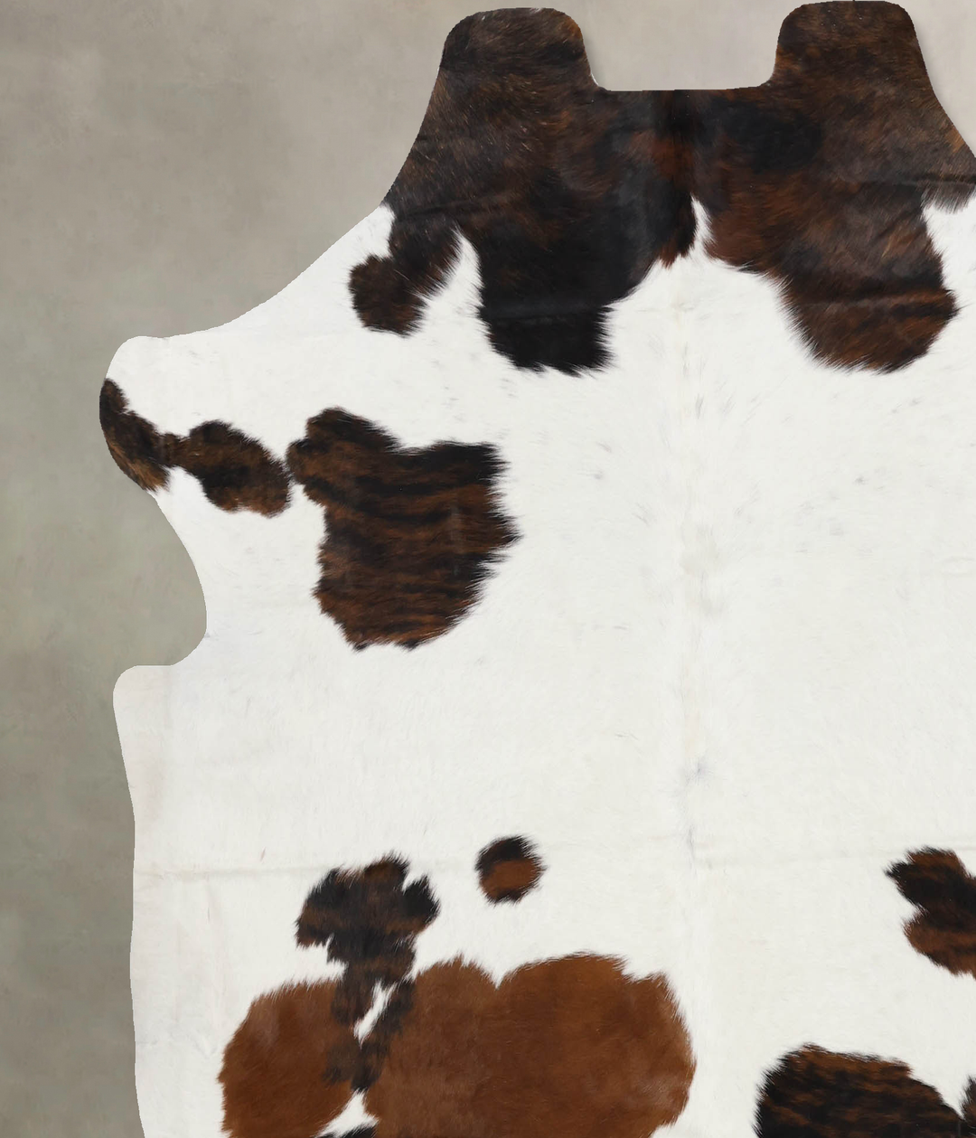 Tricolor X-Large European Cowhide Rug 6'8"H x 6'6"W #B12367 by Hudson 