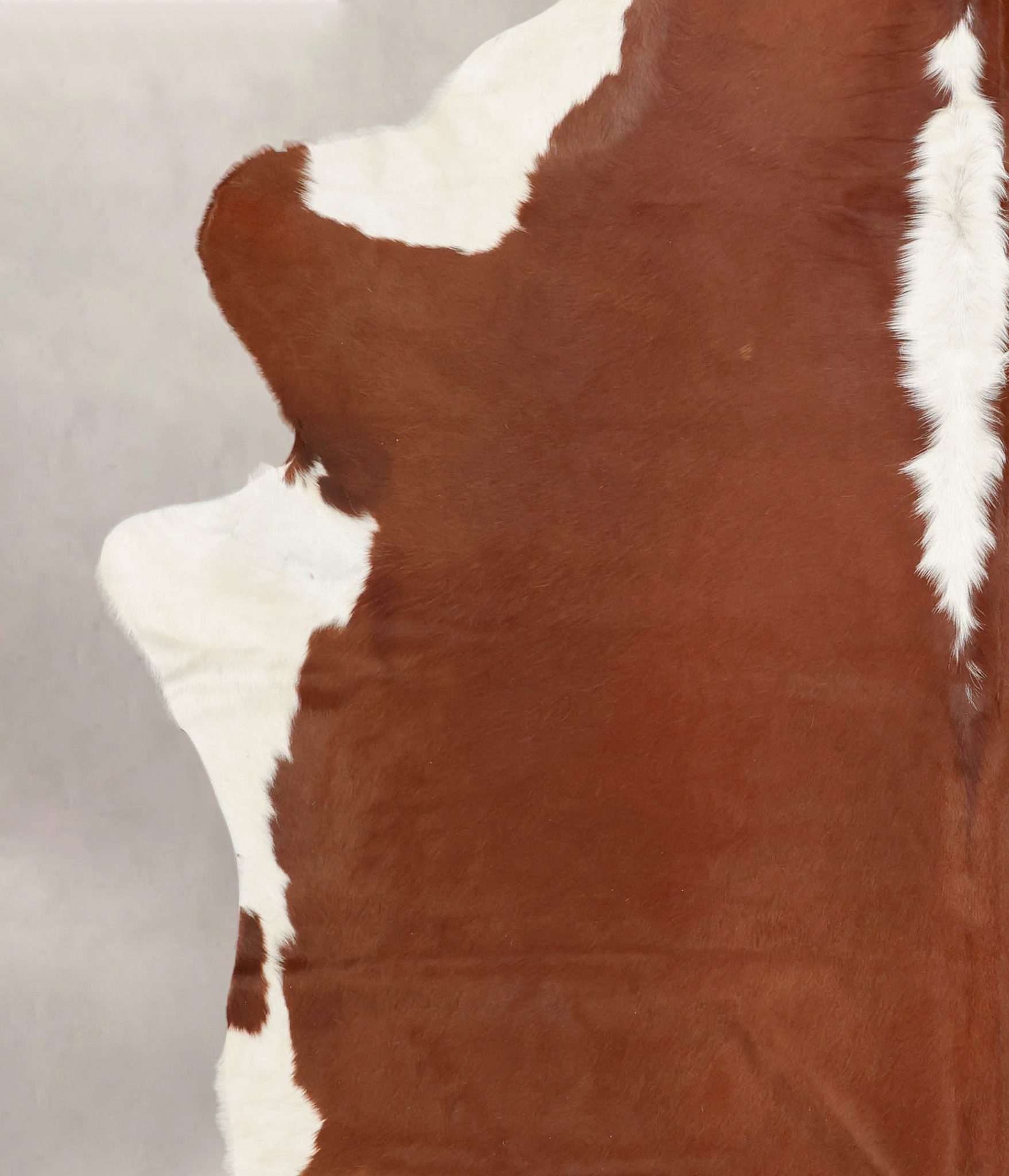 Hereford Cowhide Rug #B1237