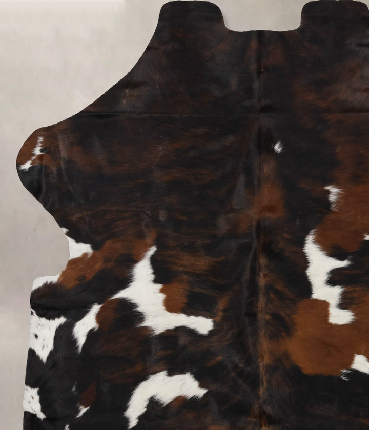 Tricolor X-Large European Cowhide Rug 6'11"H x 5'11"W #B12371 by Hudson Hides