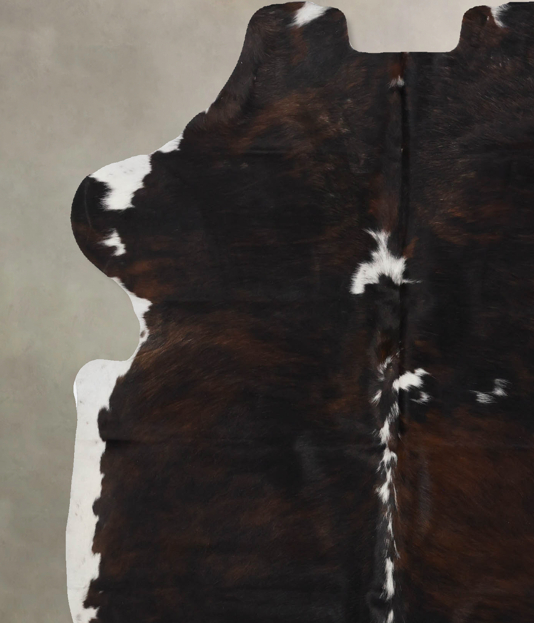 Tricolor Large European Cowhide Rug 6'8"H x 5'6"W #B12373 by Hudson Hi