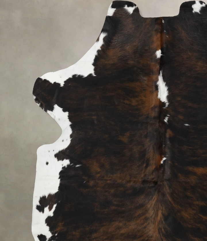 Tricolor X-Large European Cowhide Rug 6'8"H x 6'1"W #B12380 by Hudson Hides