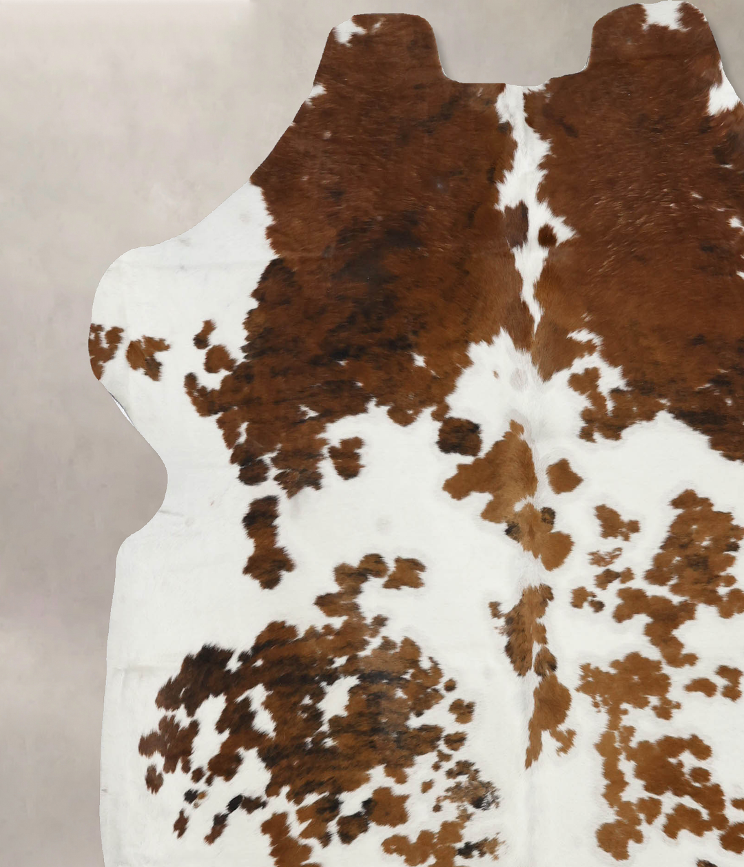 Tricolor X-Large European Cowhide Rug 6'9"H x 6'4"W #B12382 by Hudson 