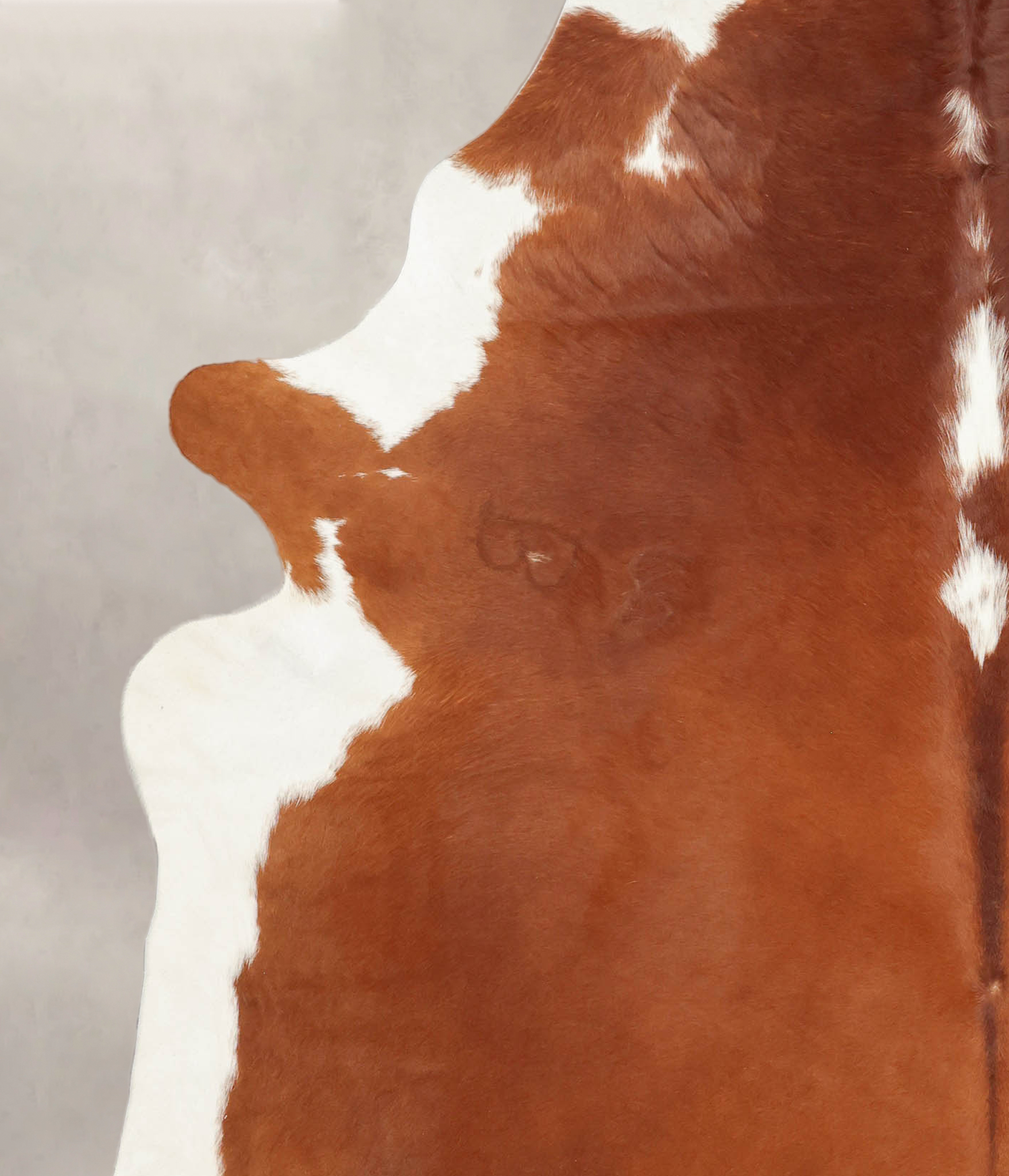 Hereford Cowhide Rug #B1239