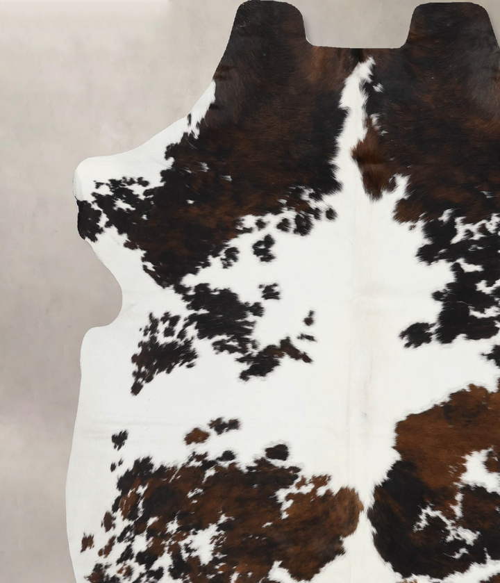 Tricolor X-Large European Cowhide Rug 6'9"H x 6'2"W #B12392 by Hudson Hides