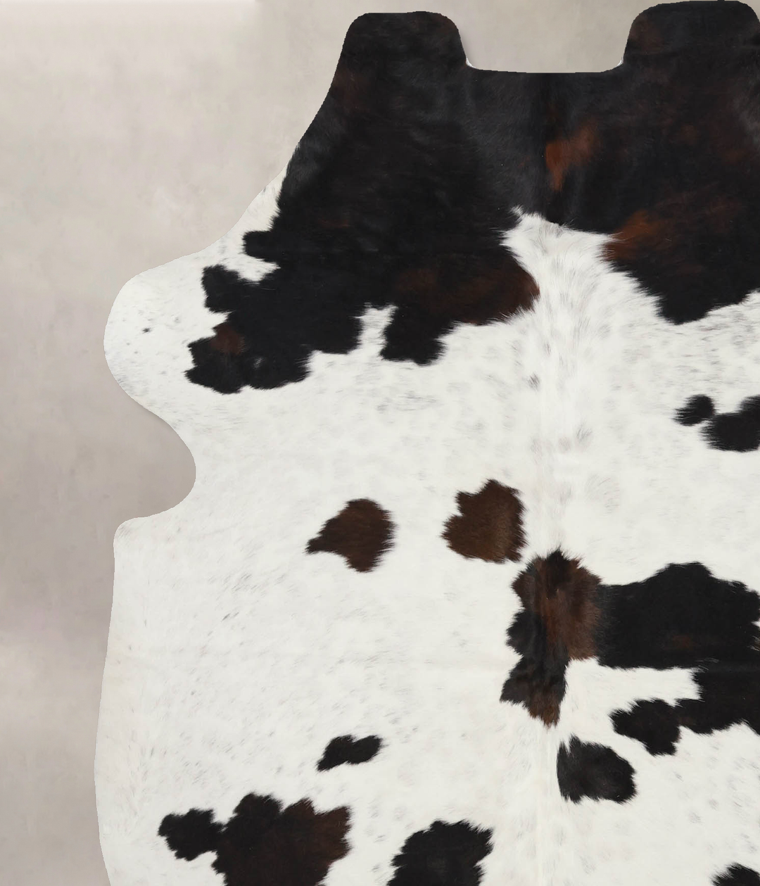 Tricolor Large European Cowhide Rug 6'6"H x 5'10"W #B12399 by Hudson H