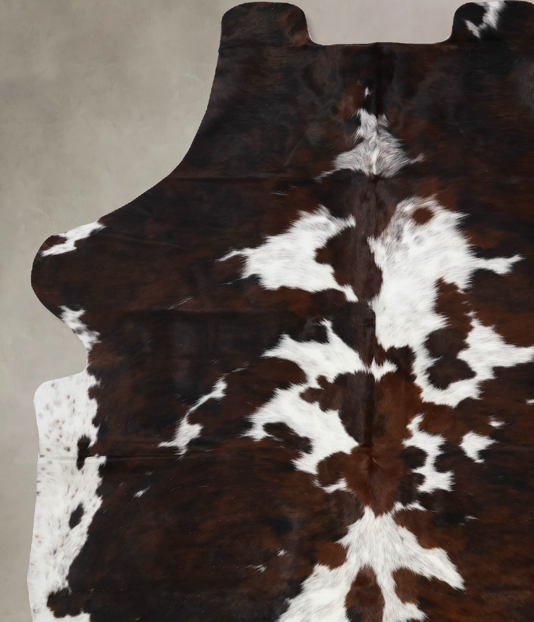 Tricolor X-Large European Cowhide Rug 8'4"H x 5'9"W #B12435 by Hudson 