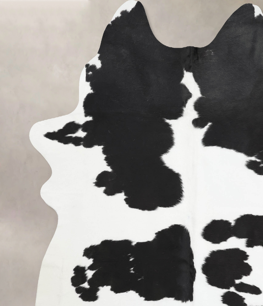 Black and White XX-Large Brazilian Cowhide Rug 8'6"H x 6'9"W #B12481 b