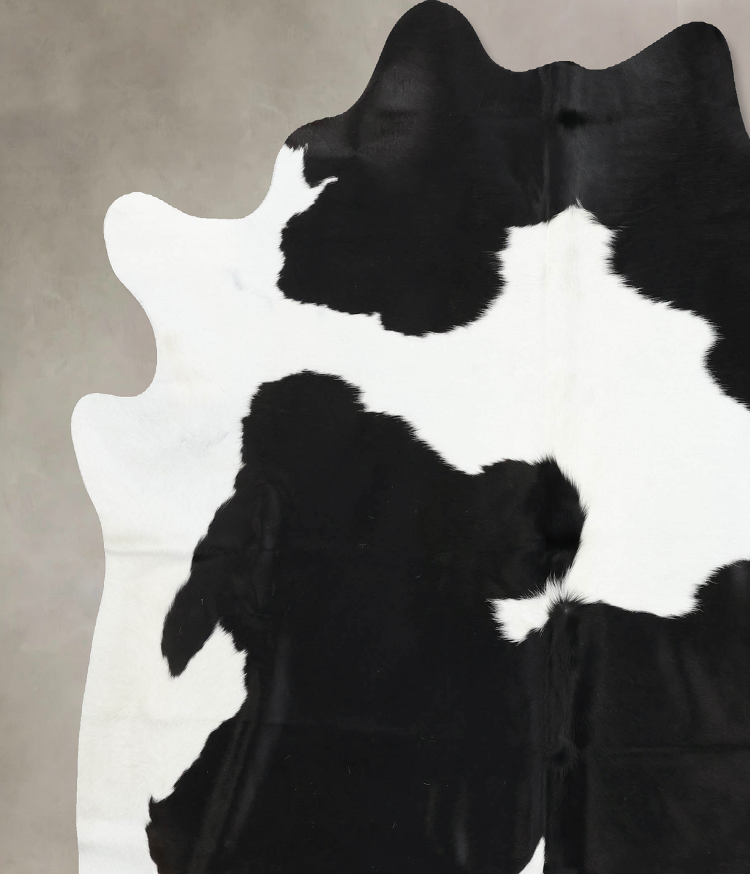 Black and White XX-Large Brazilian Cowhide Rug 7'7"H x 7'1"W #B12495 b