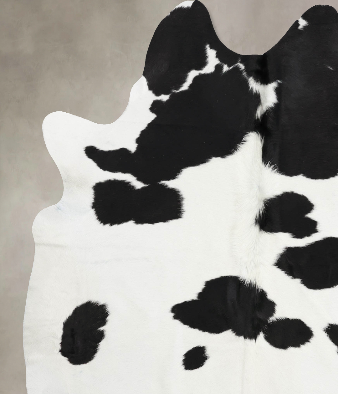 Black and White XX-Large Brazilian Cowhide Rug 8'5"H x 6'10"W #B12499 