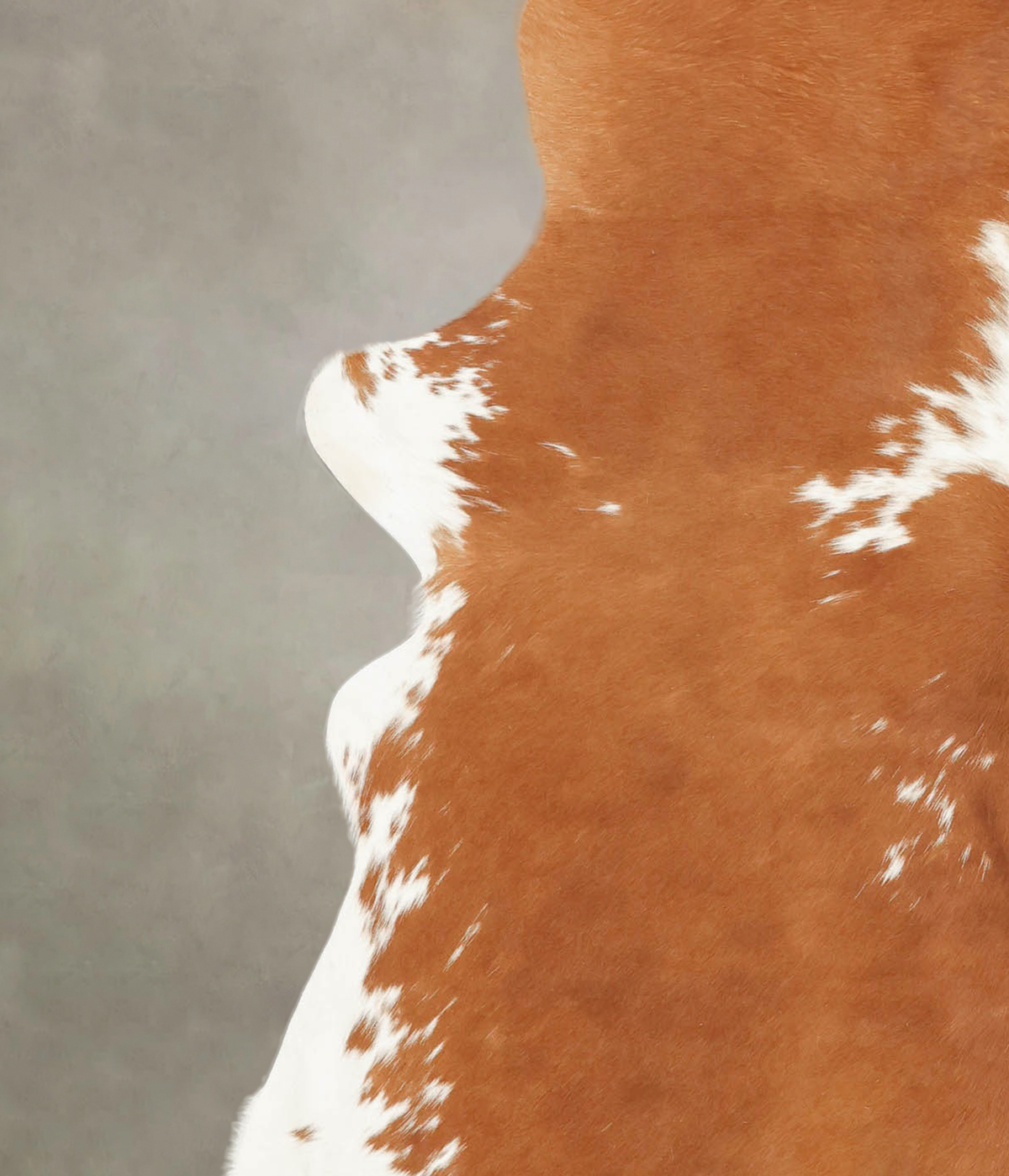 Brown and White X-Large Brazilian Cowhide Rug 6'7"H x 6'2"W #B1250 by Hudson Hides