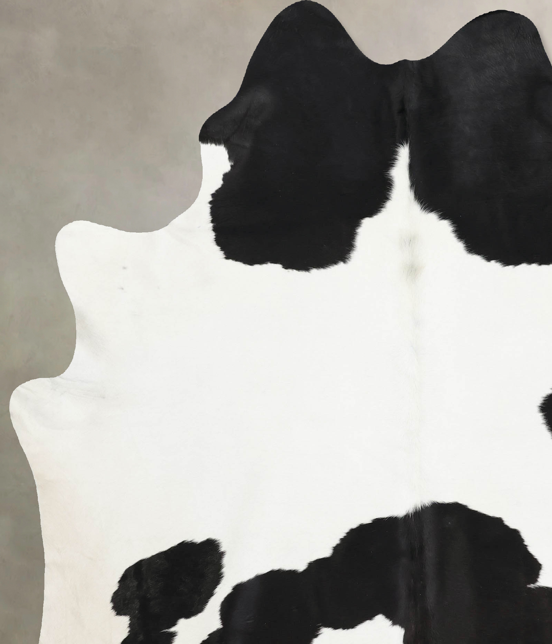 Black and White X-Large Brazilian Cowhide Rug 7'11"H x 6'3"W #B12512 b
