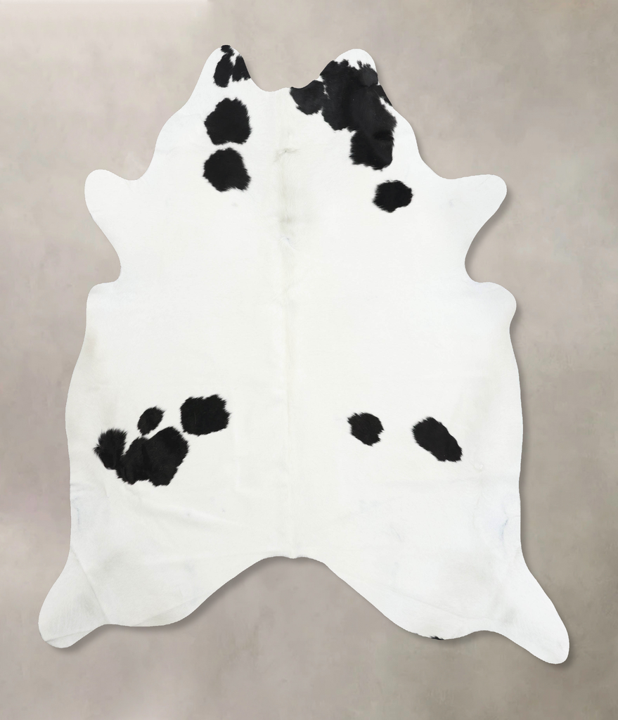 Black and White XX-Large Brazilian Cowhide Rug 7'10"H x 7'1"W #B12516 by Hudson Hides