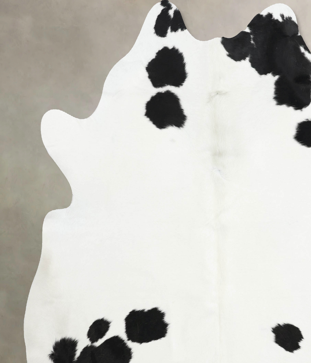 Black and White XX-Large Brazilian Cowhide Rug 7'10"H x 7'1"W #B12516 