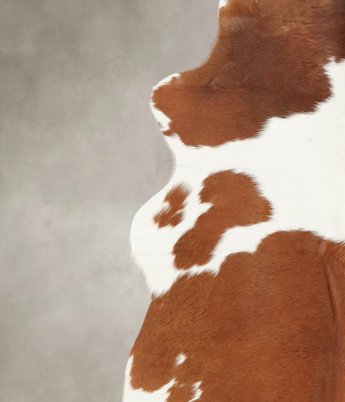 Brown and White X-Large Brazilian Cowhide Rug 7'3"H x 6'7"W #B1253 by Hudson Hides