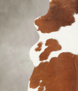 Brown and White X-Large Brazilian Cowhide Rug 7'3"H x 6'7"W #B1253 by Hudson Hides