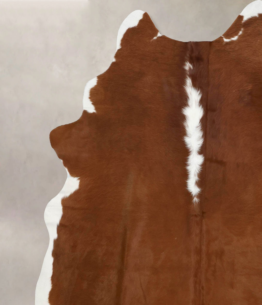 Hereford XX-Large Brazilian Cowhide Rug 8'2"H x 6'10"W #B12552 by Huds