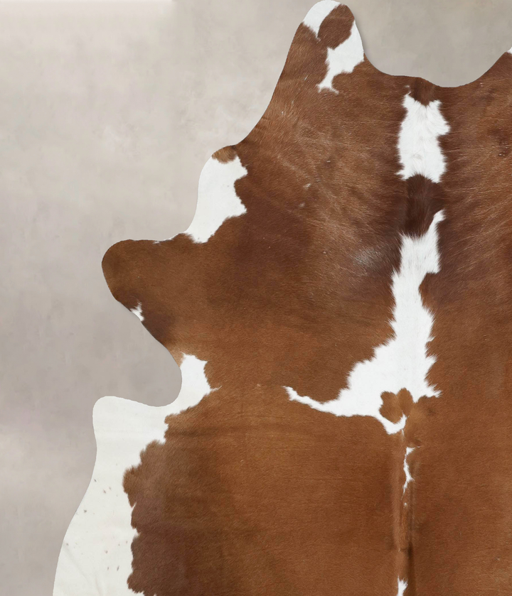 Brown and White XX-Large Brazilian Cowhide Rug 8'3"H x 7'0"W #B12554 by Hudson Hides