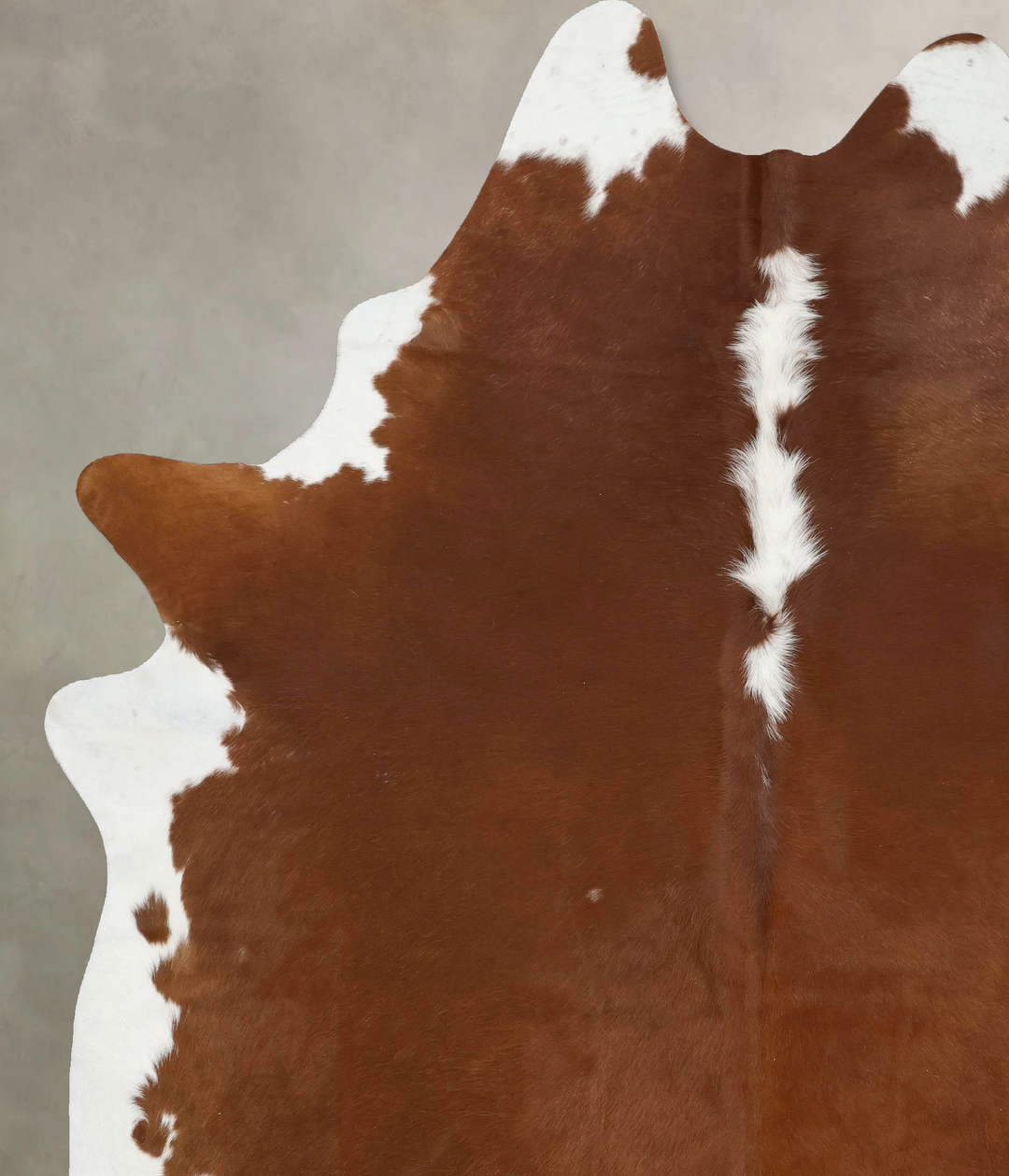 Hereford XX-Large Brazilian Cowhide Rug 9'0"H x 7'1"W #B12562 by Hudso