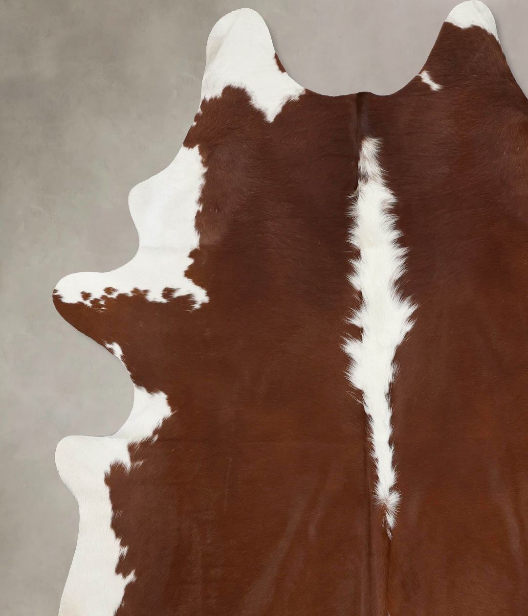 Hereford XX-Large Brazilian Cowhide Rug 8'10"H x 7'4"W #B12572 by Huds