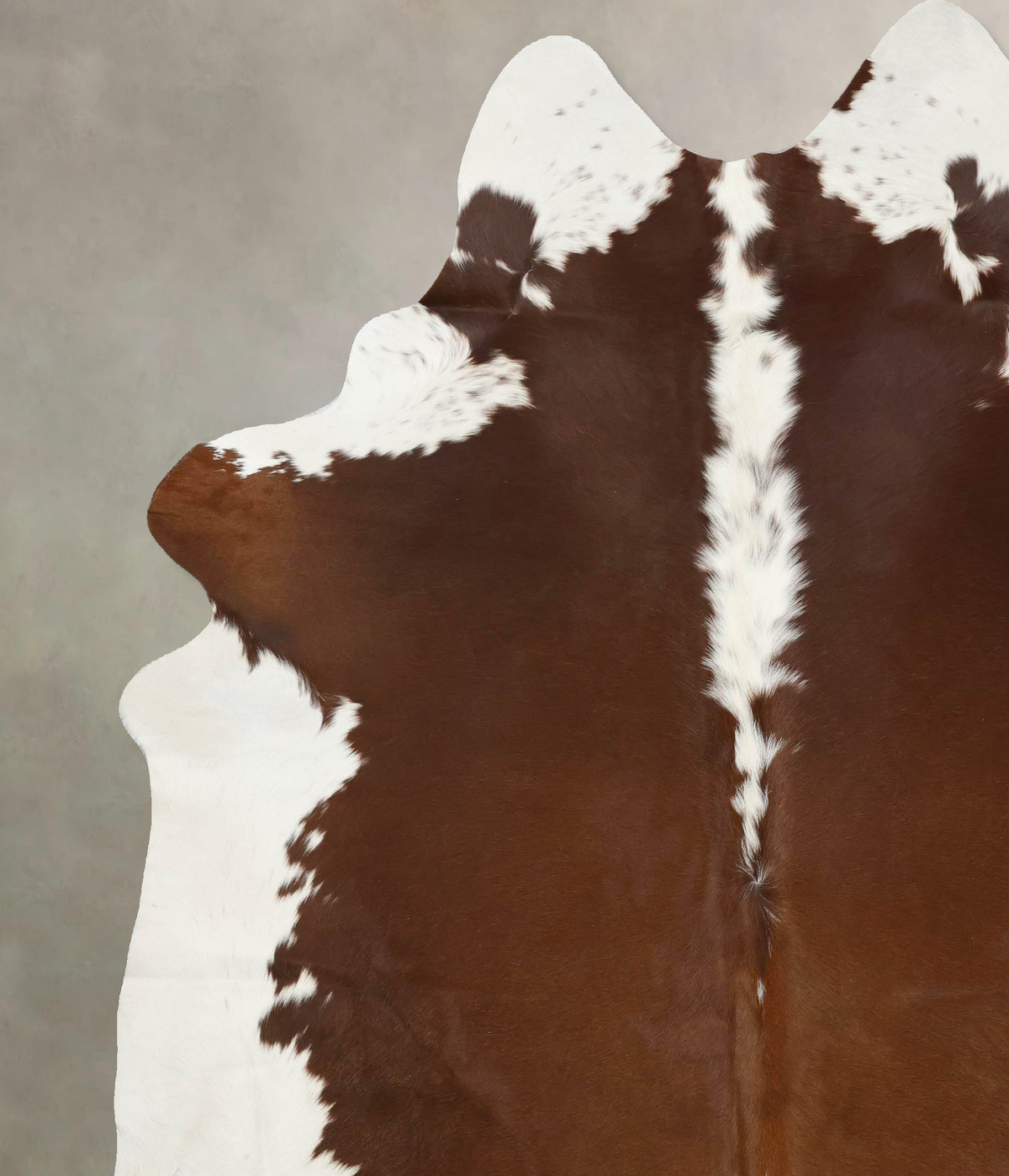 Hereford XX-Large Brazilian Cowhide Rug 8'5"H x 7'4"W #B12580 by Hudson Hides