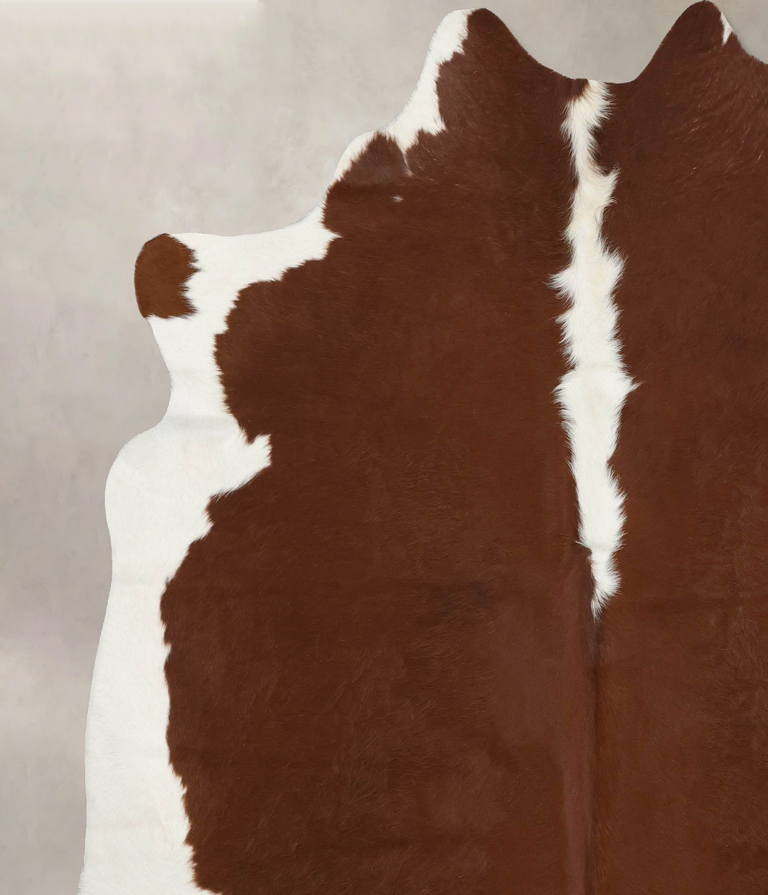 Hereford XX-Large Brazilian Cowhide Rug 7'10"H x 7'1"W #B12582 by Huds