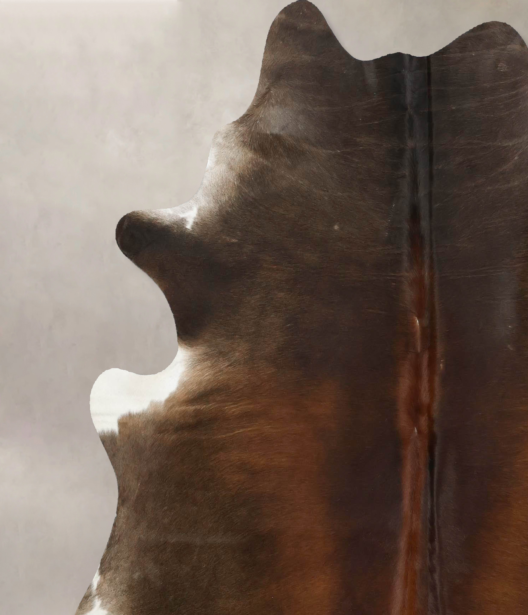 Chocolate Cowhide Rug #B12592