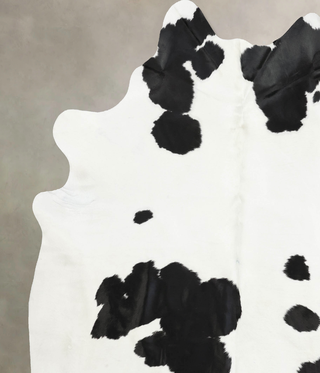 Black and White XX-Large Brazilian Cowhide Rug 8'2"H x 7'1"W #B12602 b