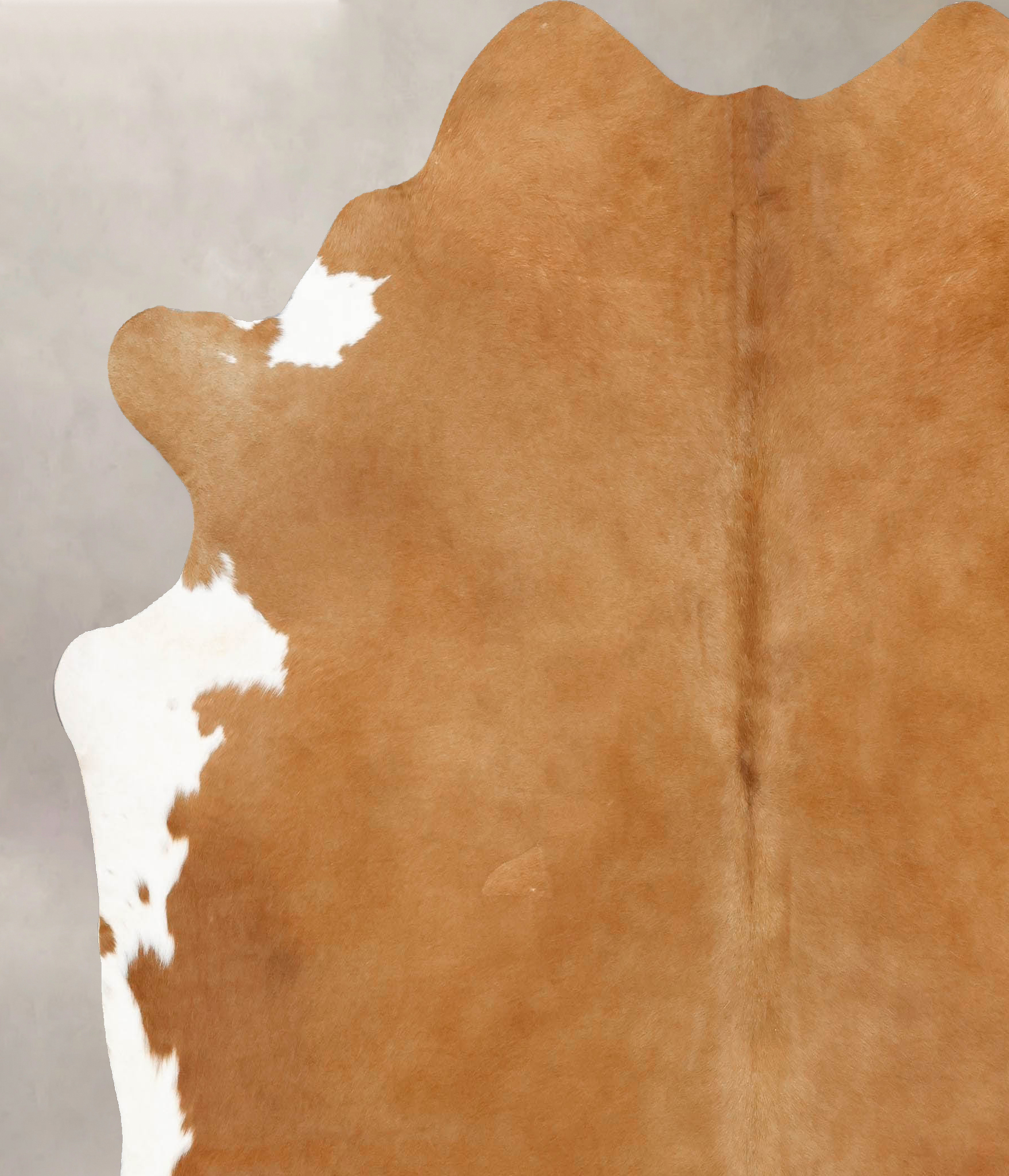 Brown and White Regular Cowhide Rug #B12618