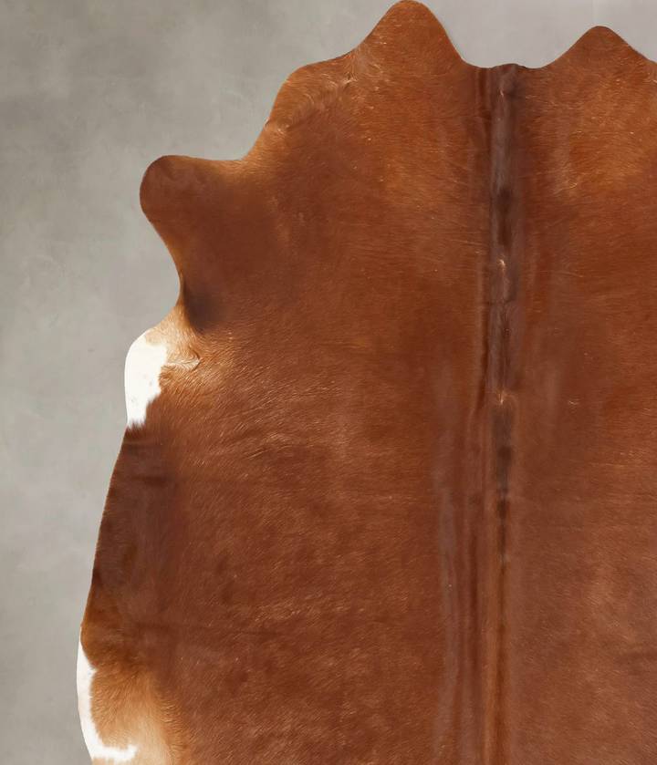 Solid Brown XX-Large Brazilian Cowhide Rug 7'11"H x 7'7"W #B12620 by Hudson Hides