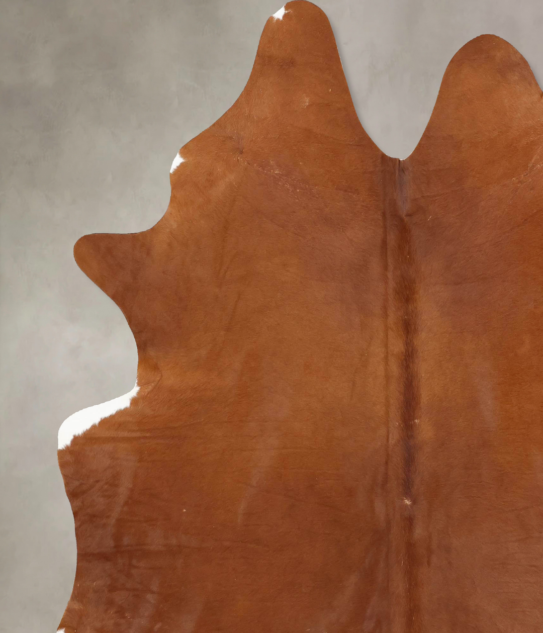 Solid Brown XX-Large Brazilian Cowhide Rug 8'2"H x 6'8"W #B12622 by Hu