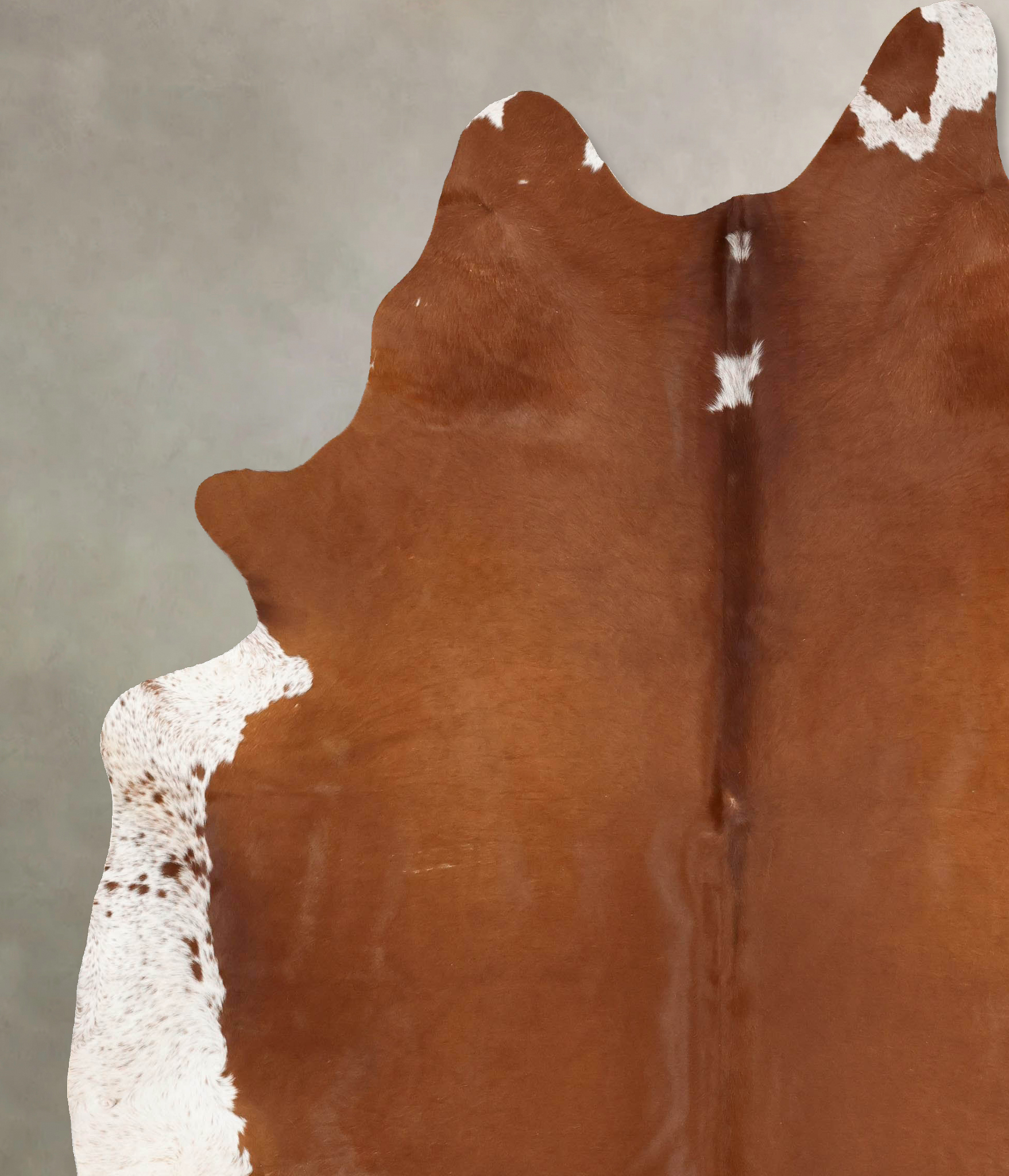 Brown and White Regular Cowhide Rug #B12625