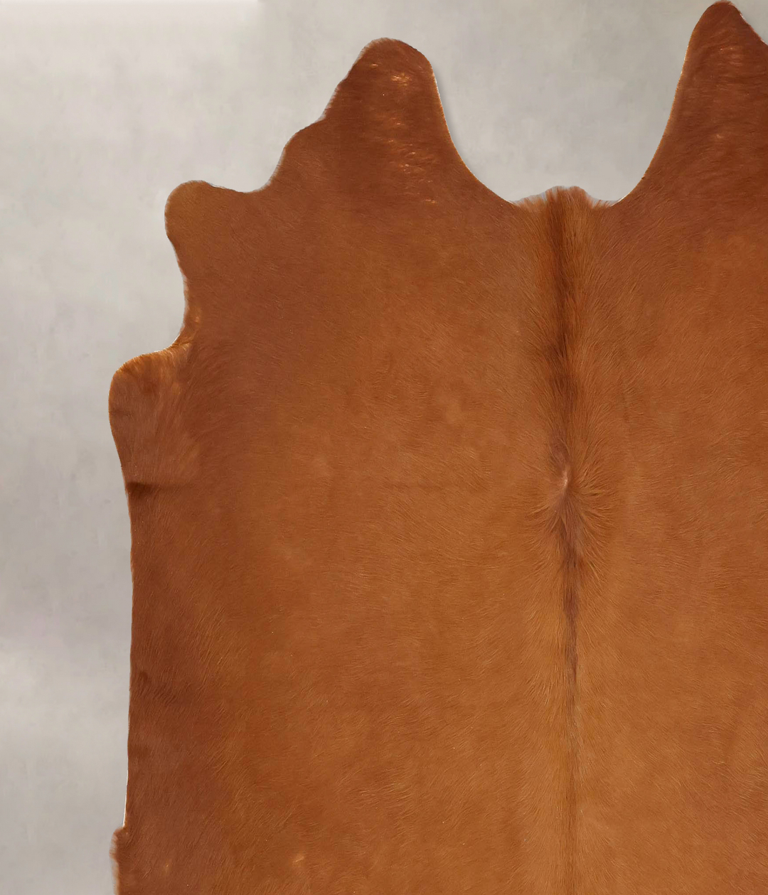 Solid Brown X-Large Brazilian Cowhide Rug 6'11"H x 6'10"W #B12627 by H