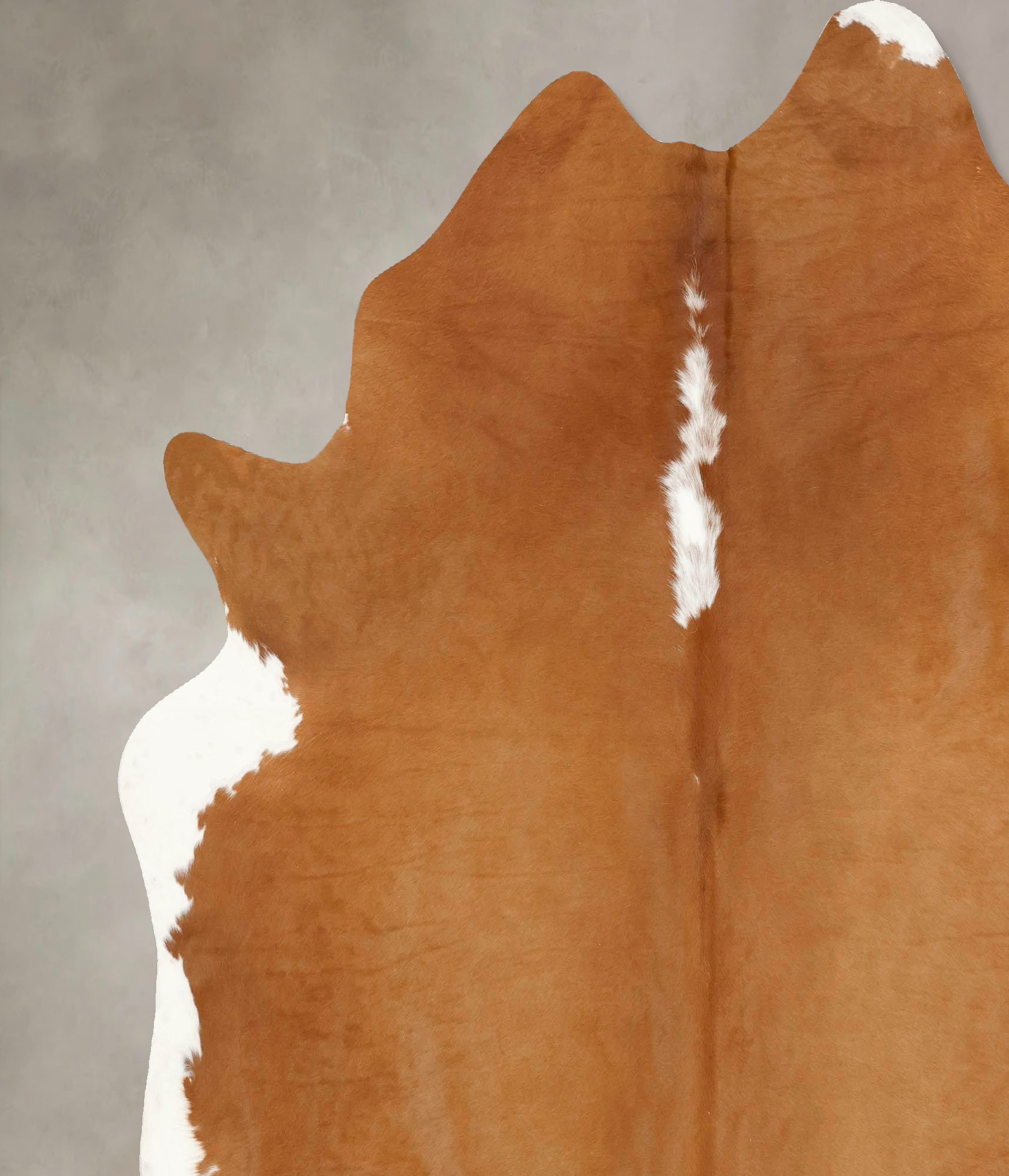 Brown and White Regular Cowhide Rug #B12628