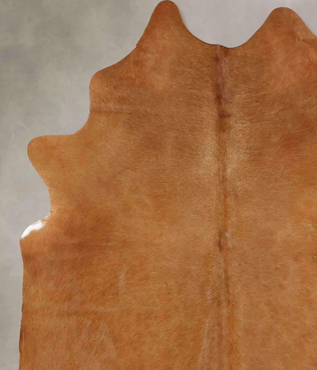 Solid Brown X-Large Brazilian Cowhide Rug 7'6"H x 6'2"W #B12629 by Hud