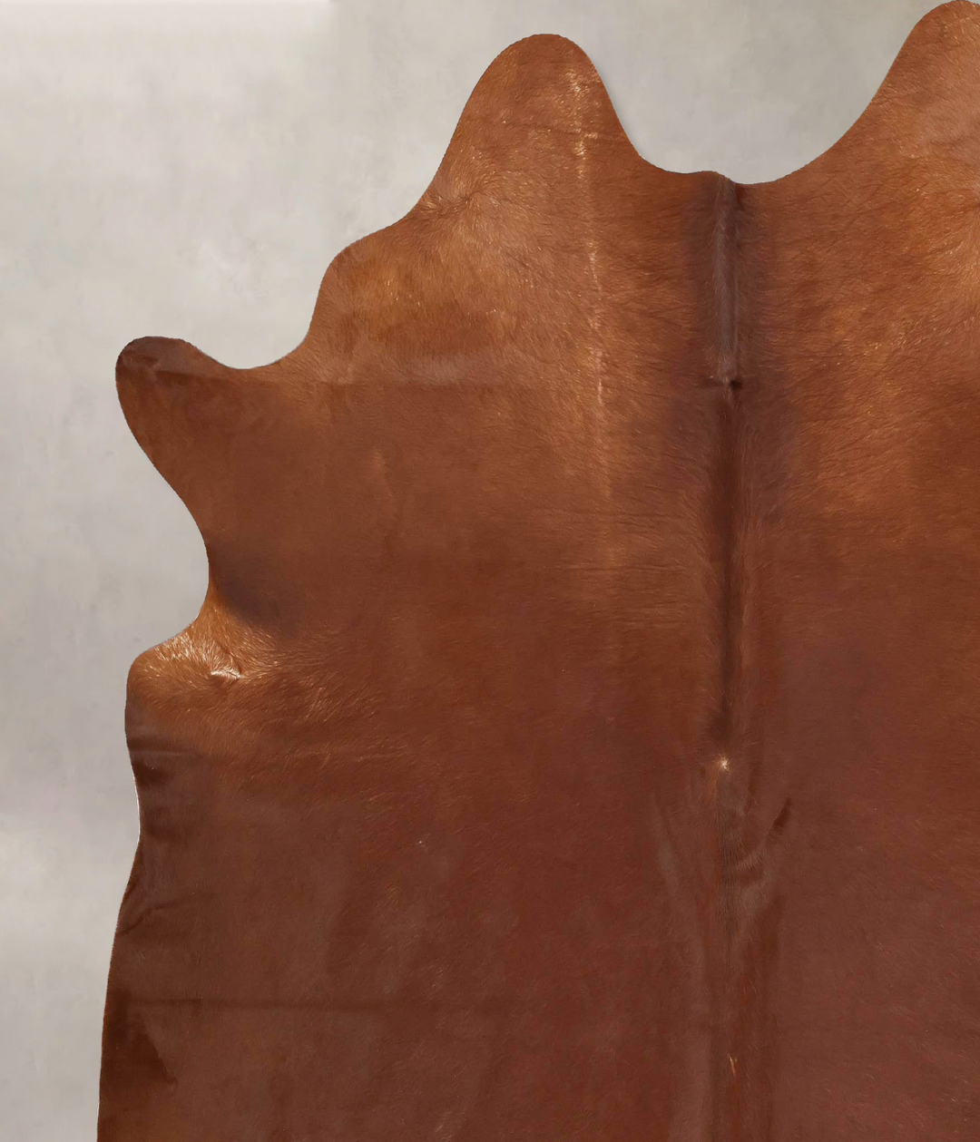 Solid Brown XX-Large Brazilian Cowhide Rug 7'9"H x 6'11"W #B12631 by H