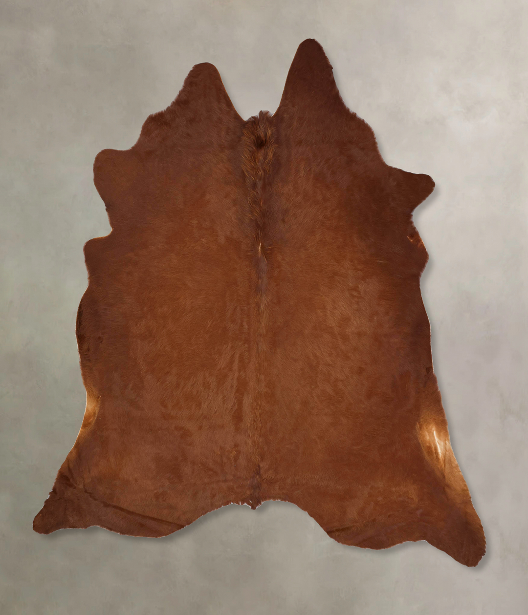 Solid Brown XX-Large Brazilian Cowhide Rug 8'8"H x 7'11"W #B12635 by H