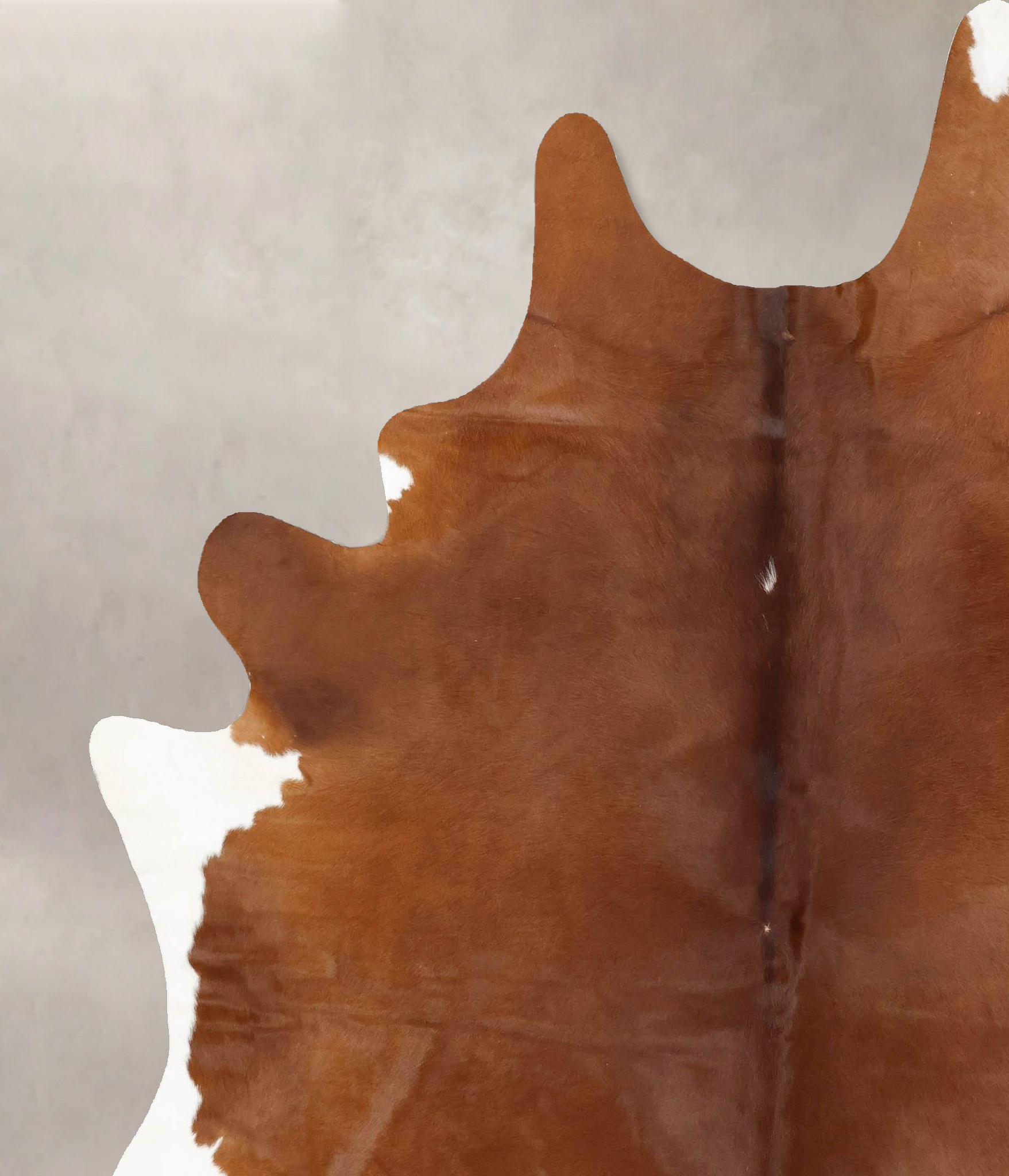 Solid Black Cowhide Rug #B12649