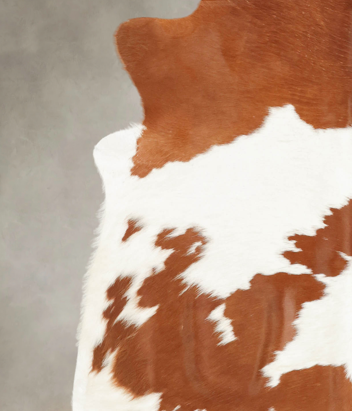 Brown and White X-Large Brazilian Cowhide Rug 6'10"H x 6'4"W #B1265 by Hudson Hides
