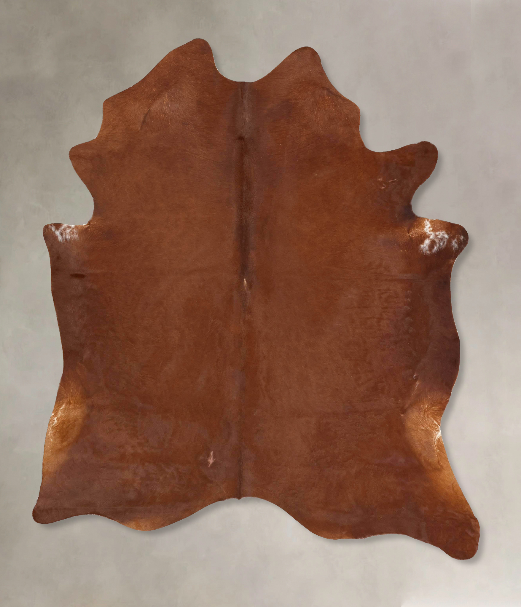 Solid Brown Cowhide Rug #B12651