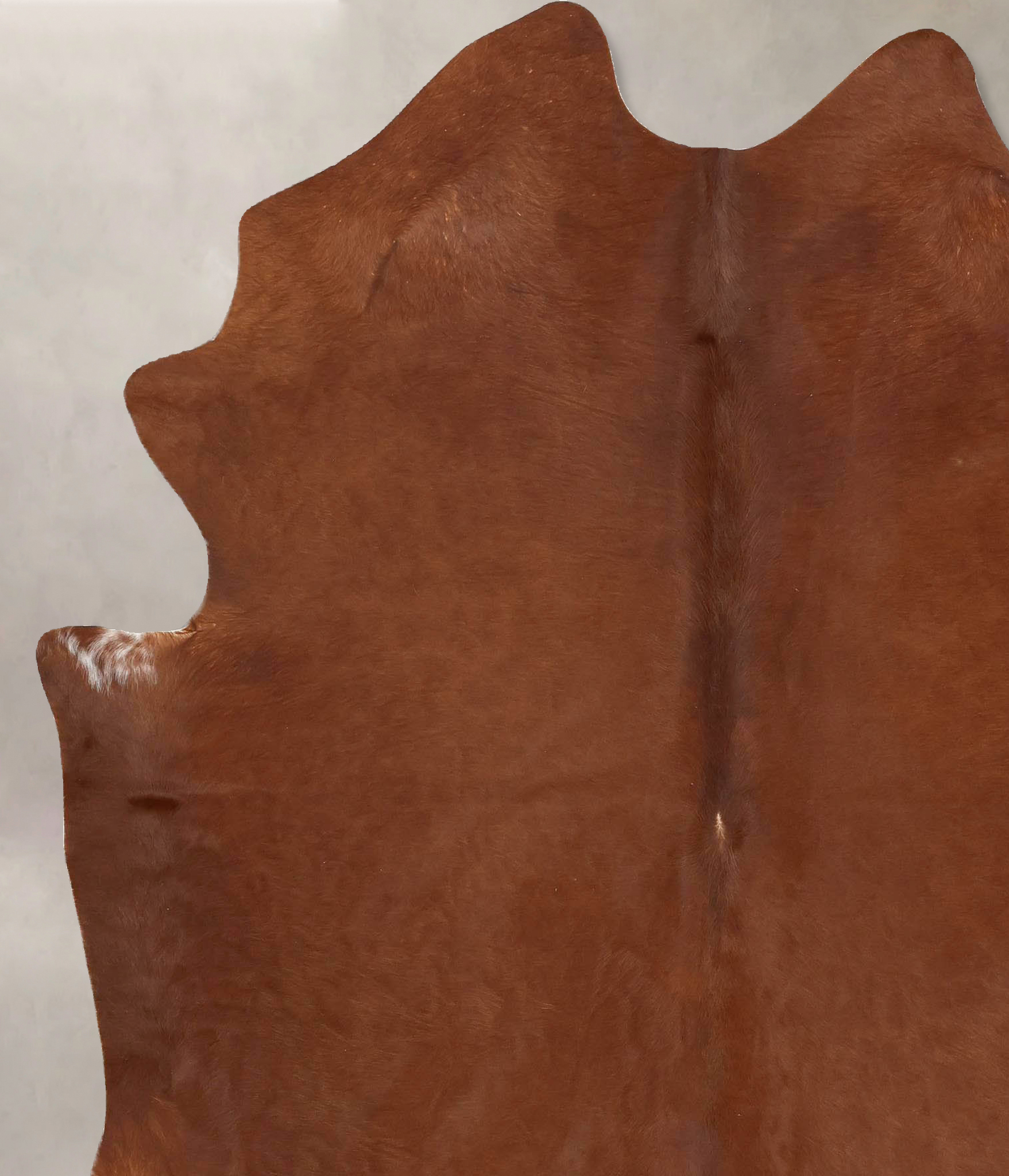 Solid Brown Cowhide Rug #B12651