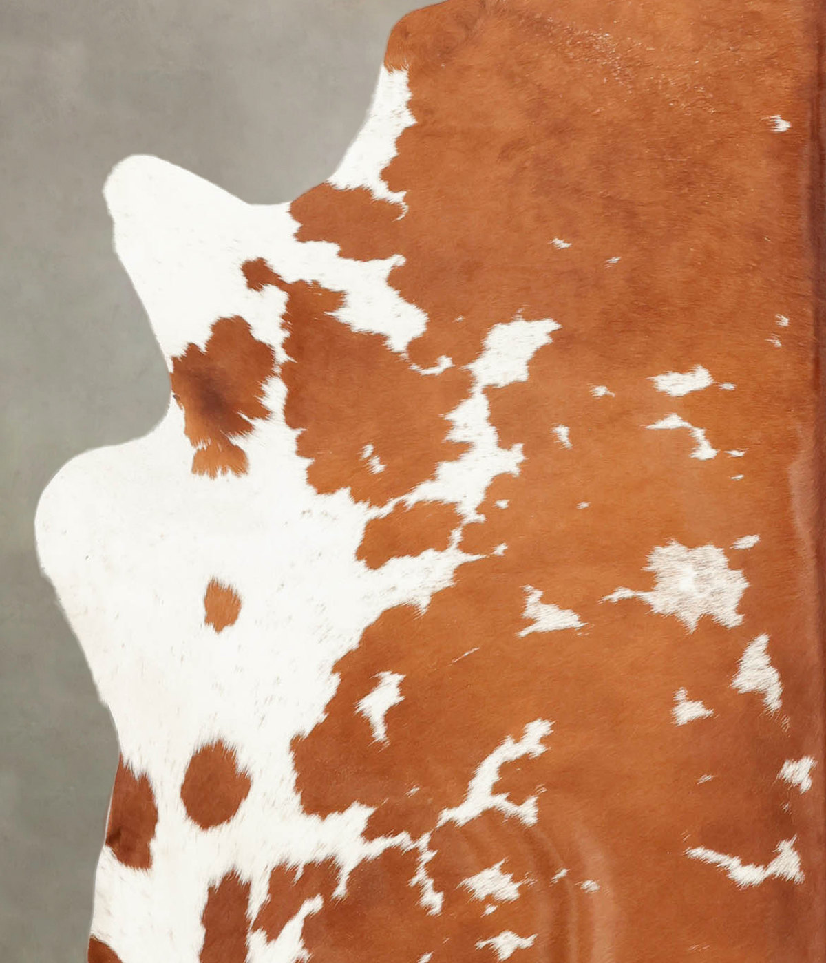 Brown and White X-Large Brazilian Cowhide Rug 6'7"H x 6'0"W #B1266 by Hudson Hides