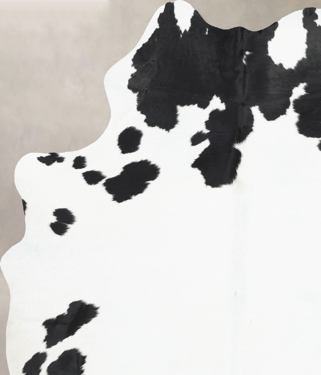 Black and White X-Large Brazilian Cowhide Rug 8'0"H x 5'10"W #B12677 b