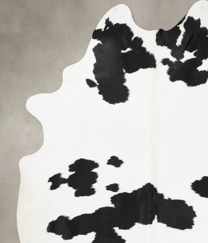 Black and White XX-Large Brazilian Cowhide Rug 8'10"H x 7'1"W #B12680 by Hudson Hides