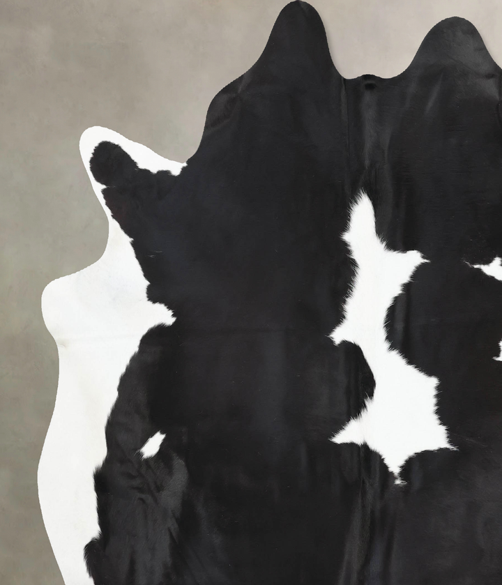 Black and White XX-Large Brazilian Cowhide Rug 7'5"H x 7'1"W #B12727 by Hudson Hides