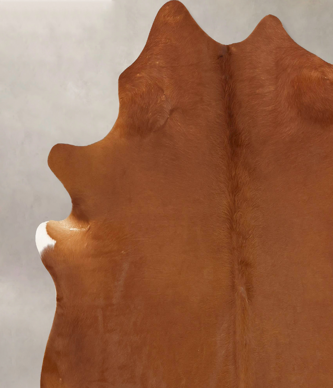 Solid Brown X-Large Brazilian Cowhide Rug 7'2"H x 6'8"W #B12780 by Hud