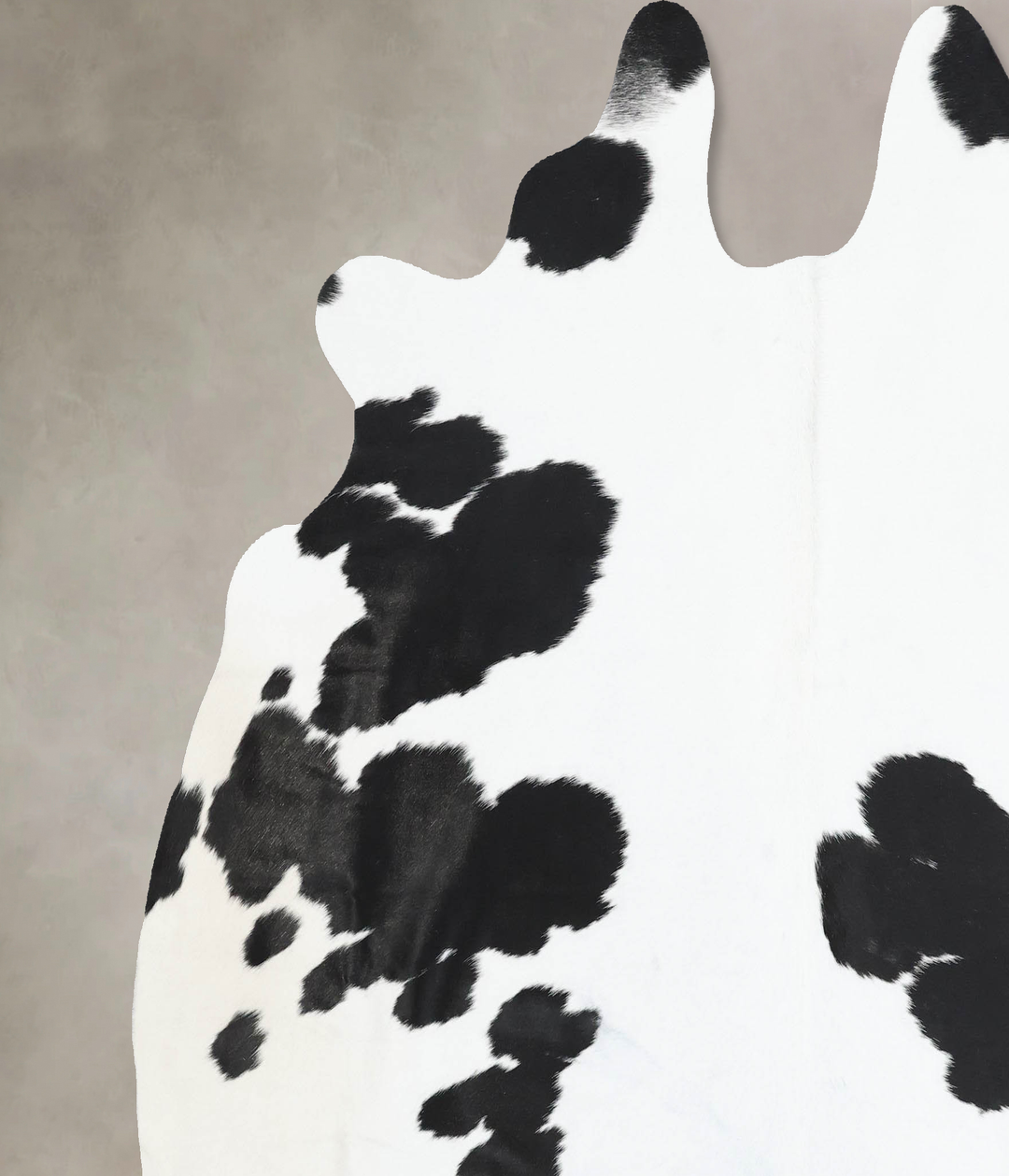 Black and White X-Large Brazilian Cowhide Rug 7'1"H x 6'11"W #B12832 b
